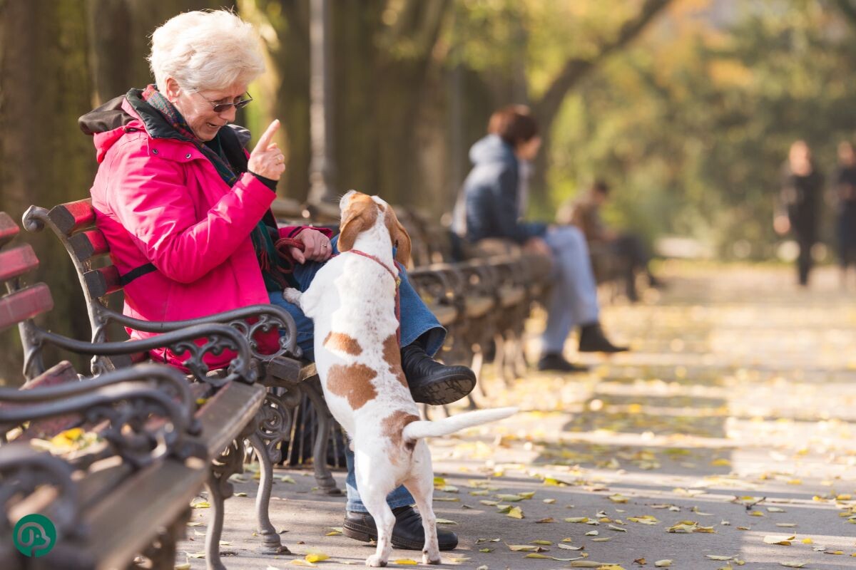 Časté, ale krátke prechádzky môžu chrániť mozog pred Alzheimerovou chorobou