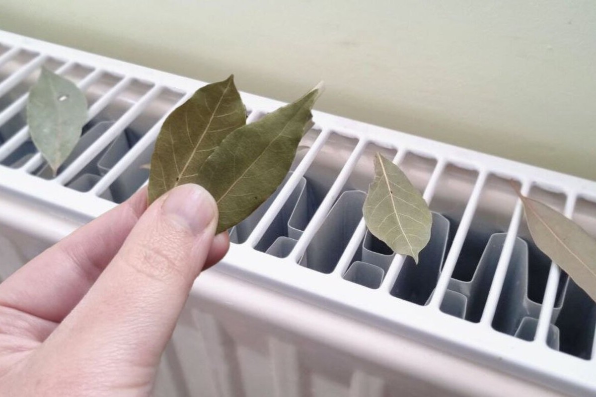 Položte vrecúško na radiátor. Rýchlo sa zbavíte stresu a uvoľníte napätie