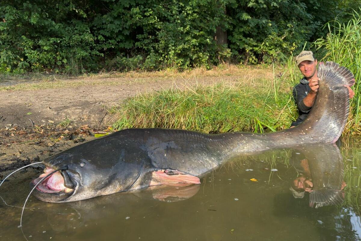 Vyzerá to ako legenda, ale je to skutočnosť: dvaja rybári ulovili 3-metrovú rybu, čo je svetový rekord