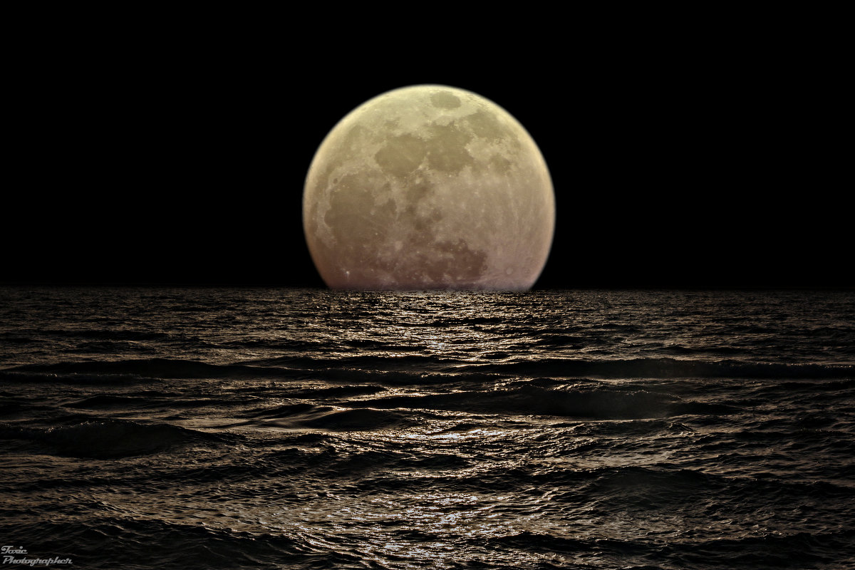 Mesiac dnes, nedeľa, 14. december: „Dopraj si oddych a vychutnaj si maličkosti, pričom uprednostňuj činnosti, ktoré ťa spájajú so zemou. Namaľuj kvetináče pre svoje rastliny.“