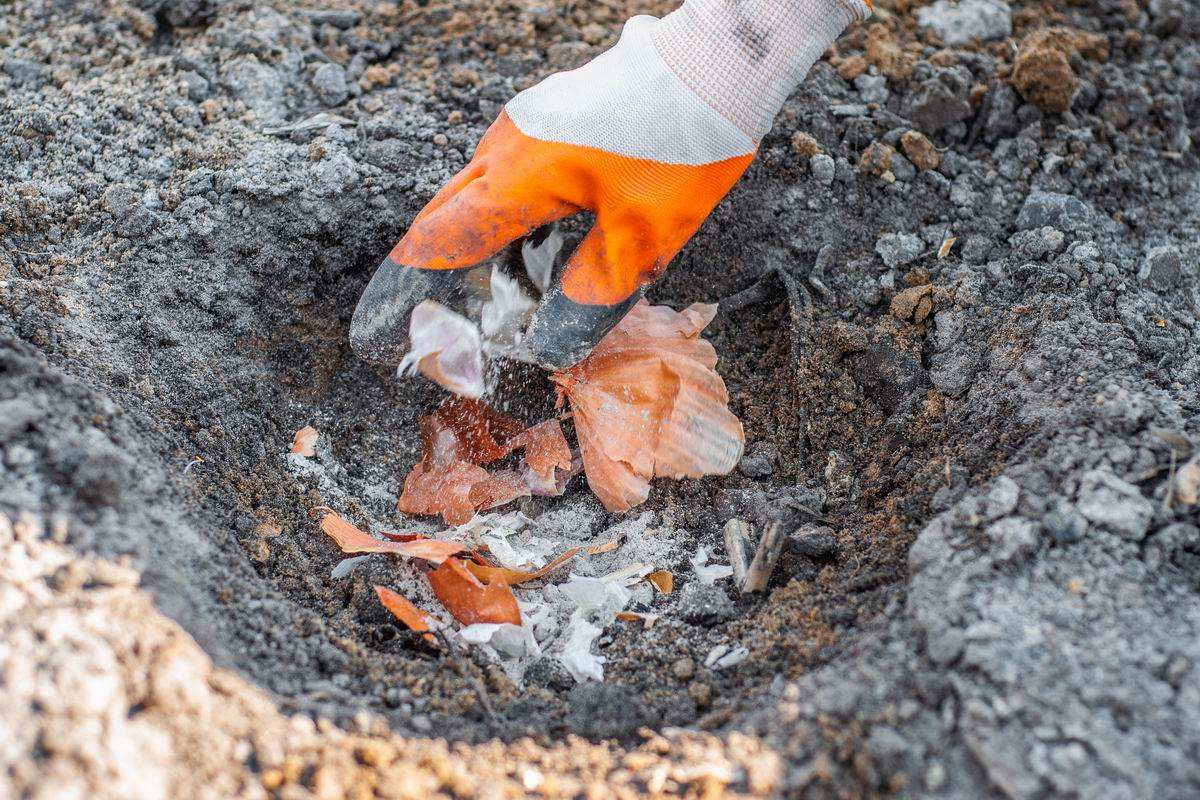 Vezmem ho z kuchyne, zmiešam s vodou a pridám po 1 lyžici do kvetináčov. Rastliny mi to oplatia hustými listami.