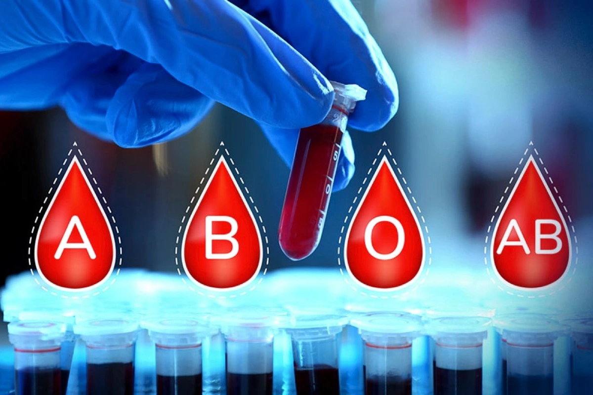 Učili nás, že krv má typy A, B alebo O. Analýza pol milióna ľudí práve odhalila „hybridnú“ výnimku.