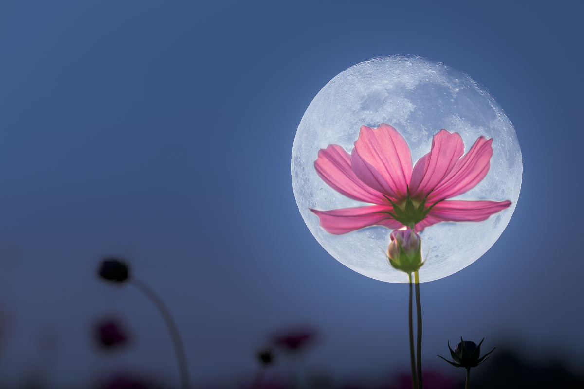 Mesiac dnes, pondelok, 15. december: „Ak ste ešte nevypratali skriňu, tento týždeň sa zbavte oblečenia, predmetov a kníh, ktoré už splnili svoju funkciu.“