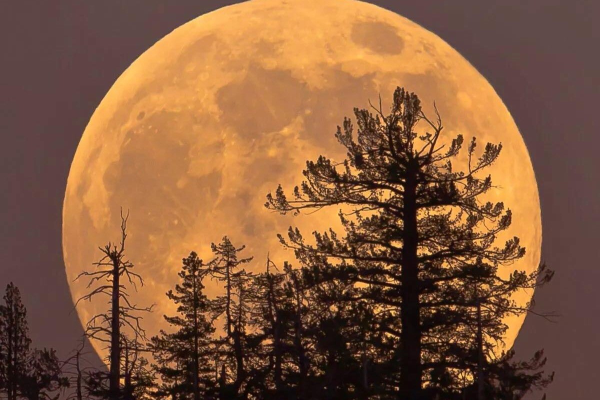 Mesiac dnes, utorok, 2. decembra: „Blíži sa spln. Načúvajte svojmu telu a nájdite si čas na „to“, čo vám dáva pocit slobody.“