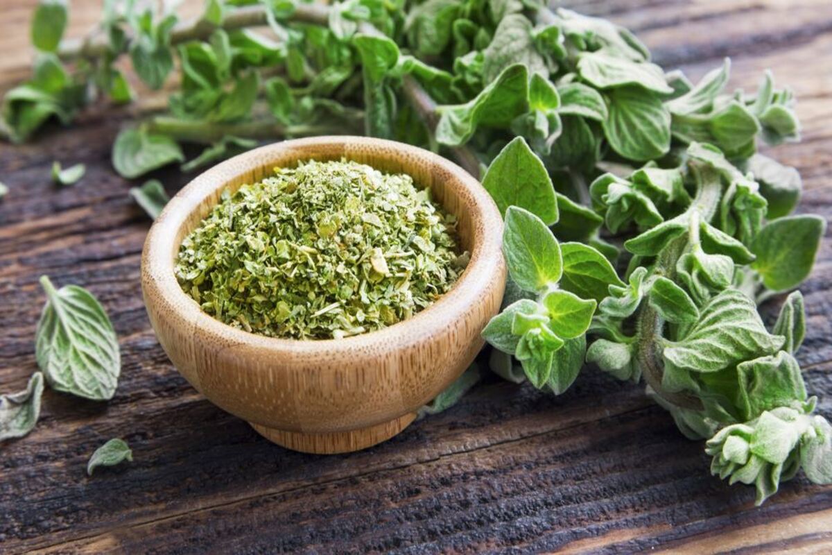 Ako sa zbaviť švábov v dome pomocou malého množstva oregana: účinný domáci prostriedok