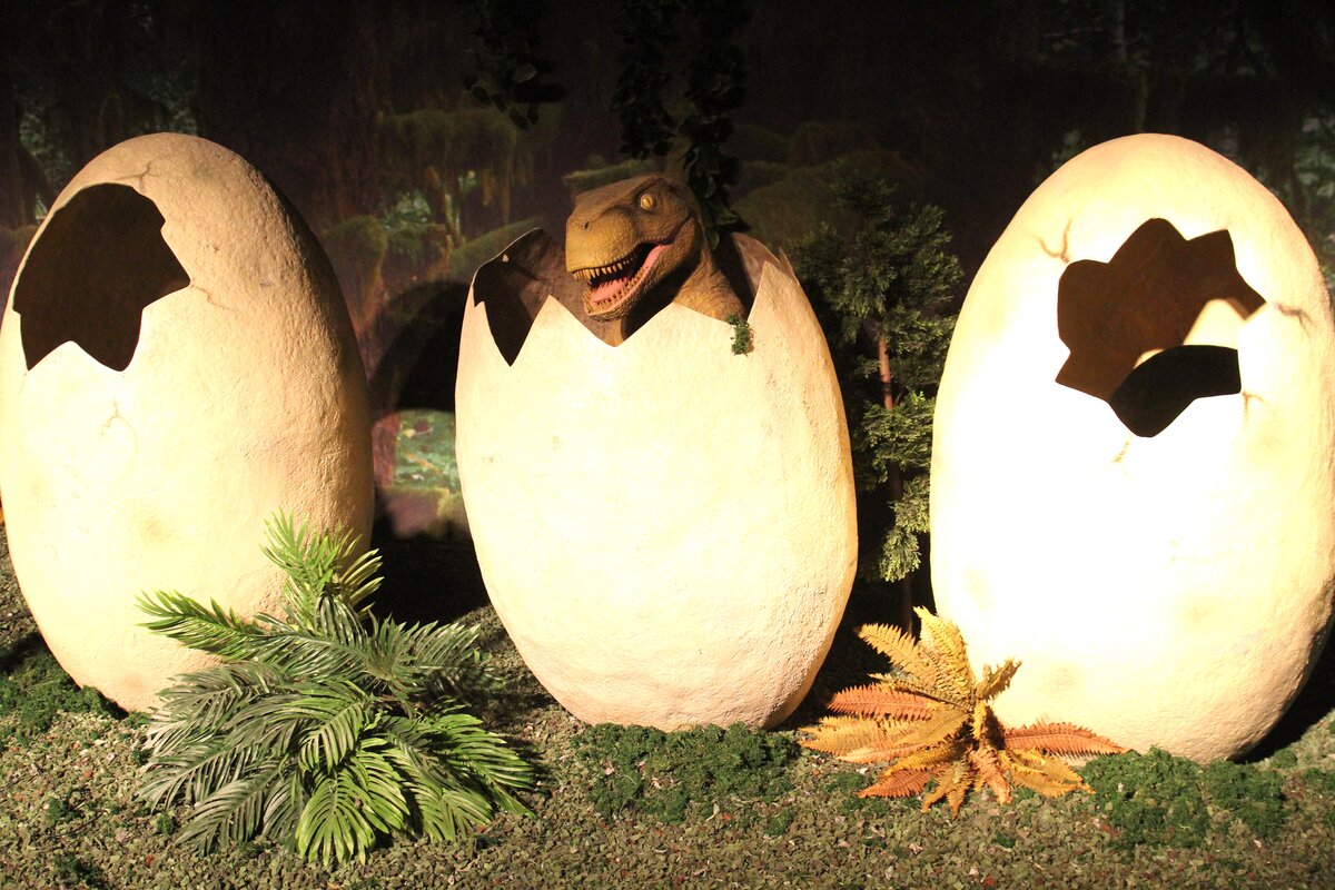 Archeológovia neveria vlastným očiam: našli vajcia dinosaurov, ktorých vek je 72 miliónov rokov