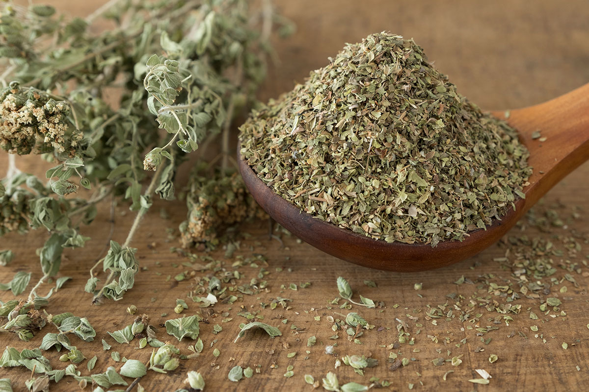 Ako sa zbaviť švábov v dome pomocou malého množstva oregana: účinný domáci prostriedok
