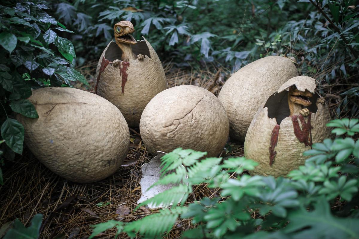 Archeológovia neveria vlastným očiam: našli vajcia dinosaurov, ktorých vek je 72 miliónov rokov