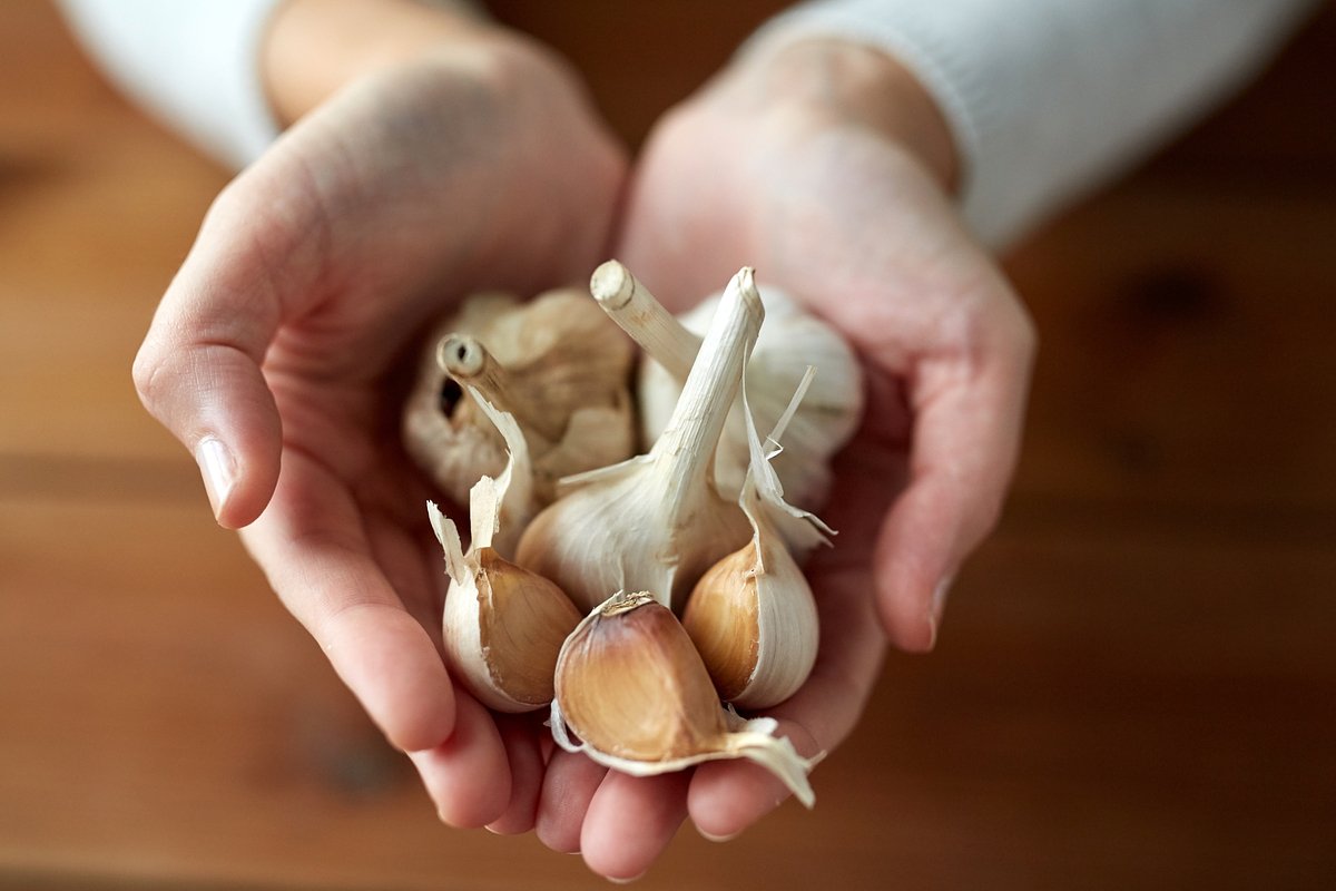 Výskumníci CSIC objavili v cesnaku sľubný spôsob boja proti starnutiu