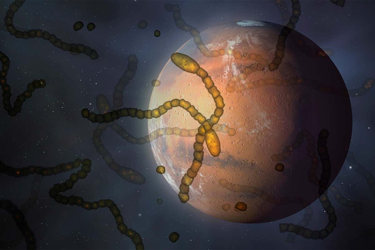 V našom úsilí o terraformovanie Marsu sme objavili dve baktérie: jedna vytvára cement, druhá ho chráni