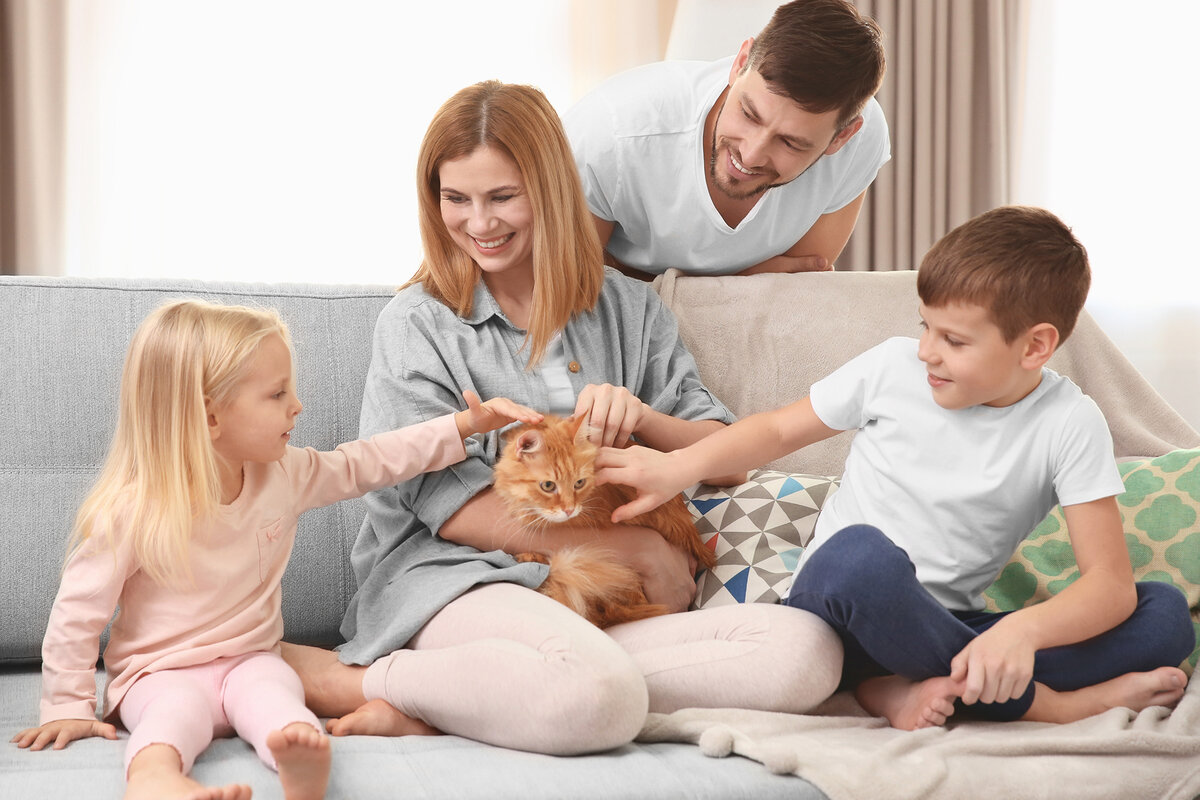 Odborník na výchovu zvierat o tom, ktoré domáce zvieratá viac milujú svojich majiteľov: „Mačky sa viažu o 7 % viac ako psy.“