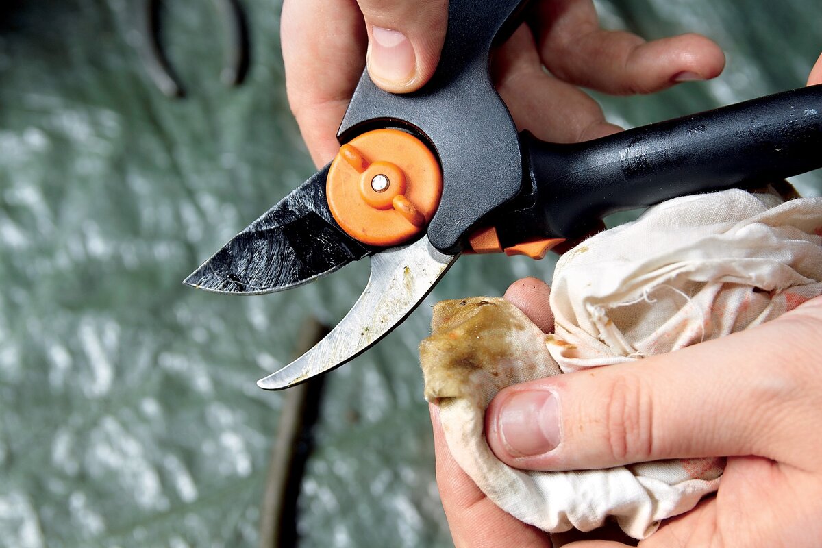 Nožnice budú ostré ako britva: rýchly spôsob brúsenia bez špeciálnych nástrojov