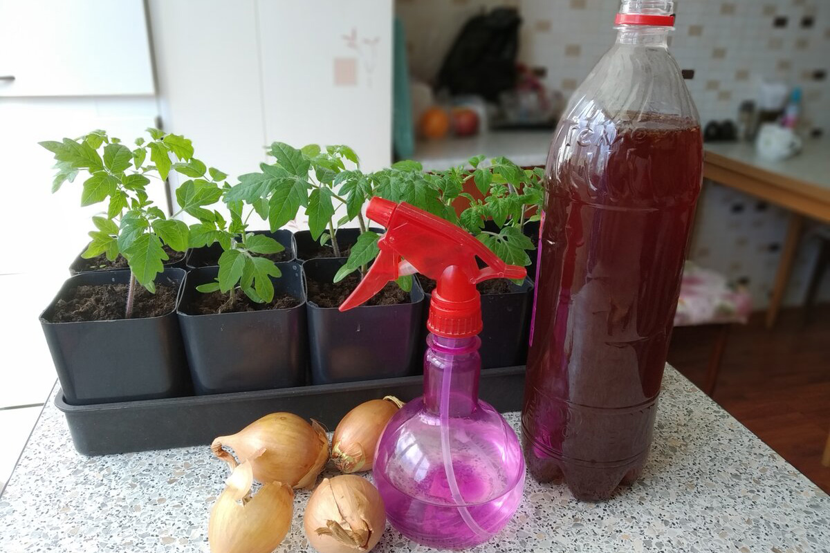 Vezmem ho z kuchyne, zmiešam s vodou a pridám po 1 lyžici do kvetináčov. Rastliny mi to oplatia hustými listami.