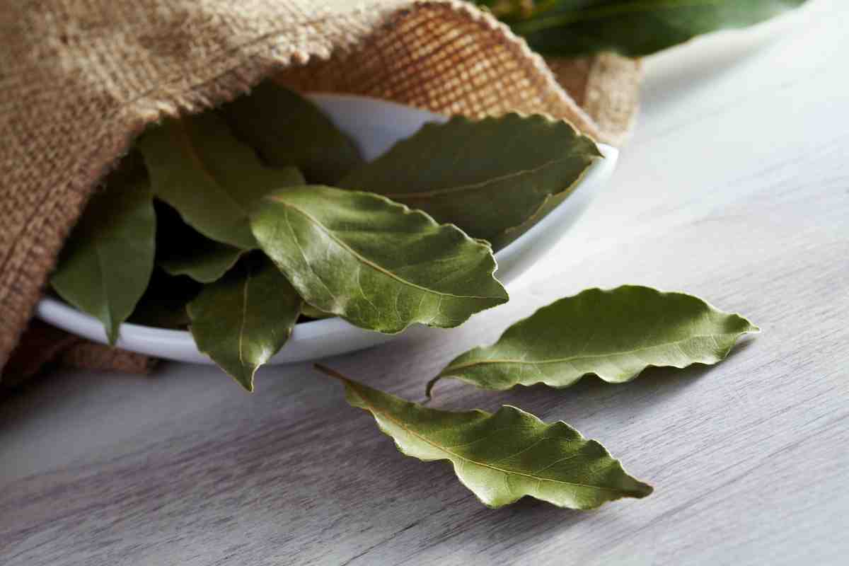 Tento jednoduchý trik s bobkovým listom na radiátore prirodzene naplní celý dom vôňou.