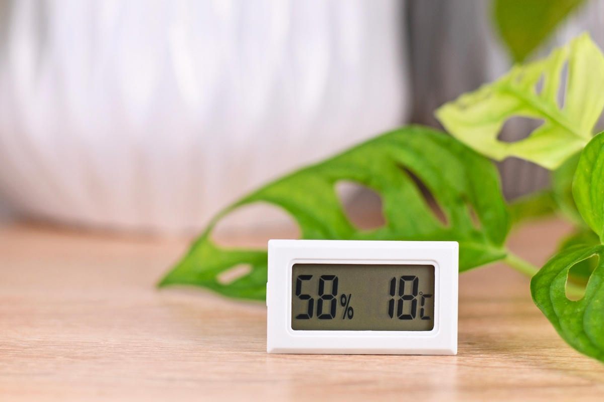 Koniec s vlhkosťou: odkedy používam tento málo známy trik, vlhkosť z môjho domu zmizla