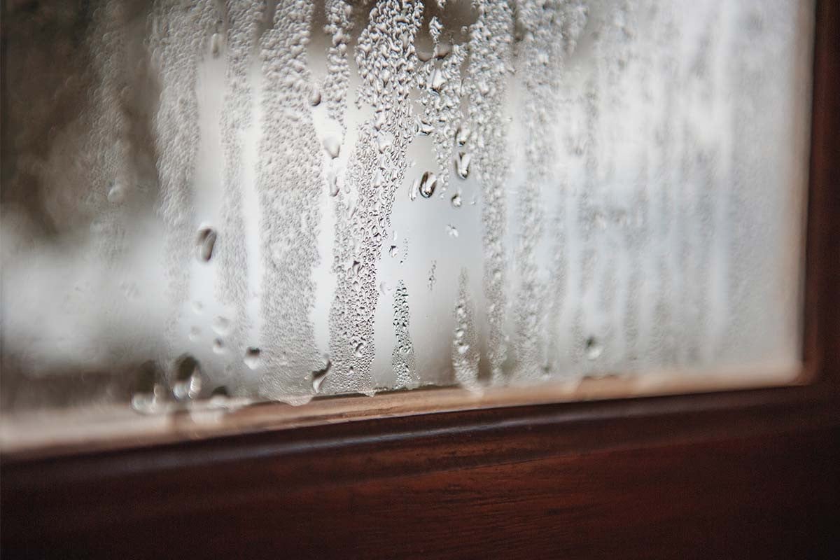 Vlhkosť na oknách: tento málo známy japonský trik zabraňuje tvorbe kondenzátu a chráni vás pred plesňou