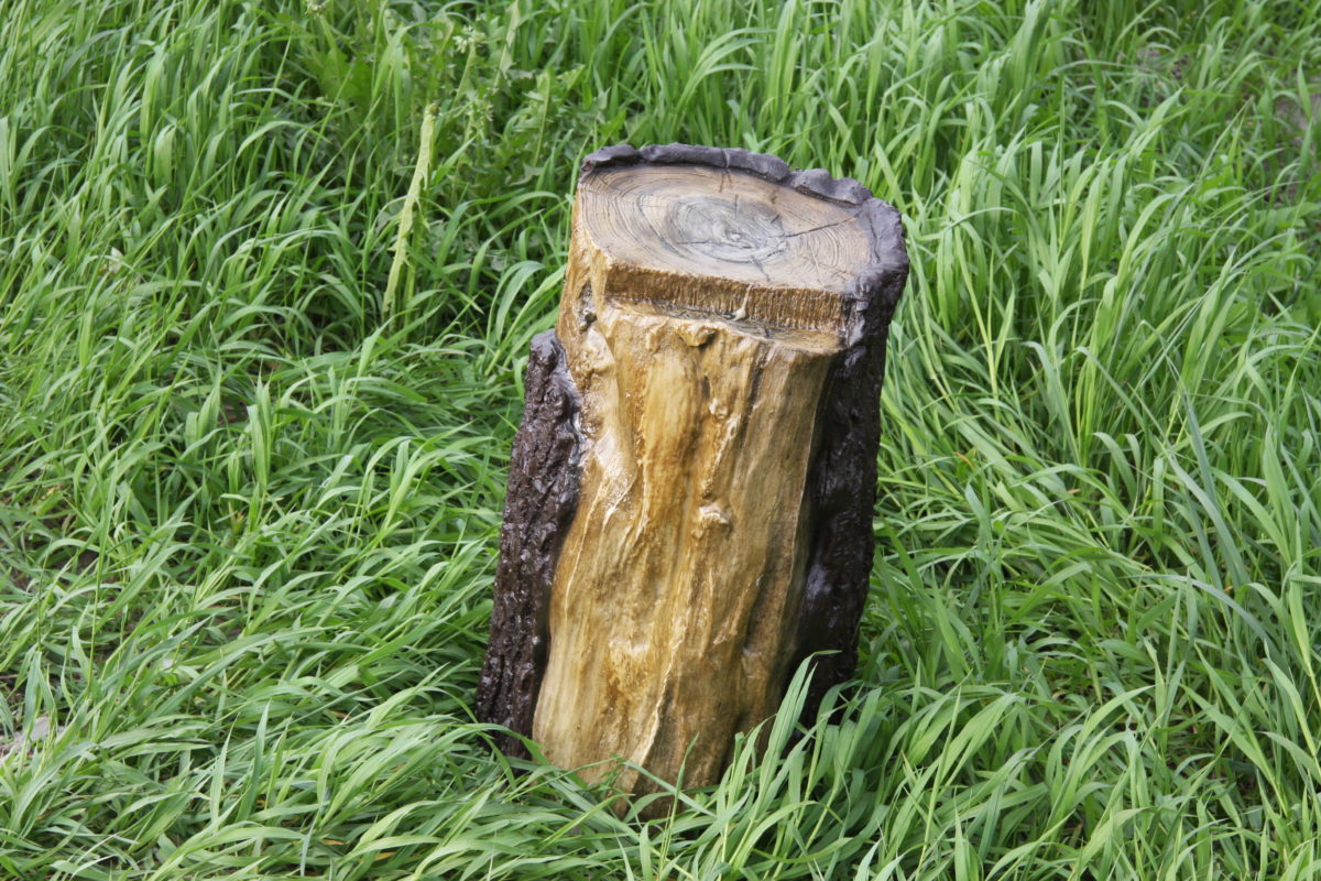 Nekopte, nepáľte, neotravujte pôdu. Takto sa záhradníci zbavujú pňov po výrube stromov