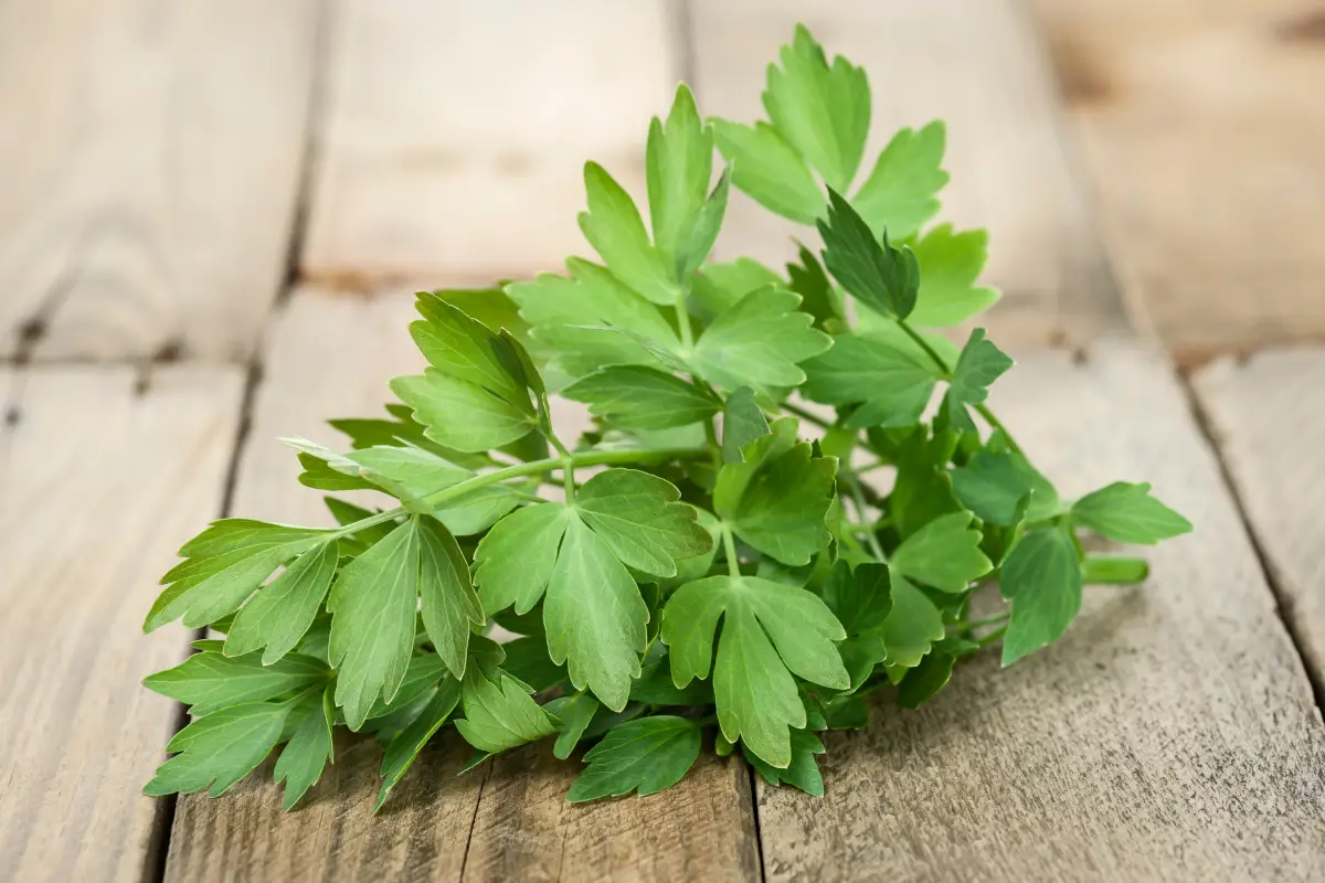 Staroveká prísada, bez ktorej by zlatistý vývar nebol taký chutný