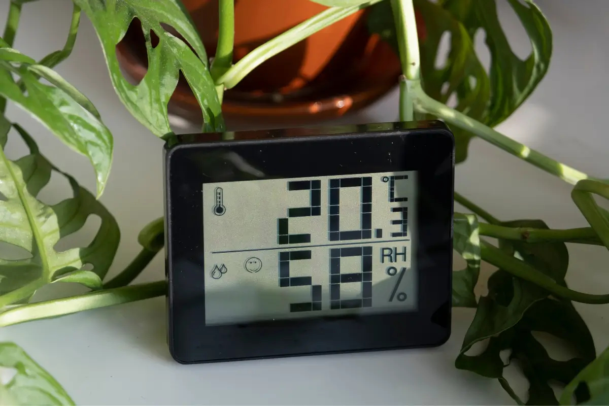 Koniec s vlhkosťou: odkedy používam tento málo známy trik, vlhkosť z môjho domu zmizla