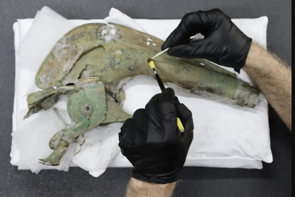 Zvuk, ktorý vyvolával strach. Objavili nezvyčajný roh