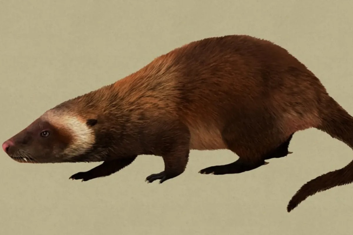 Úplný šok medzi vedcami: v Grónsku boli objavené pozostatky jedného z najprimitívnejších cicavcov