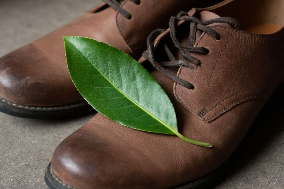 Preto môže bobkový list vo vašej obuvi zmeniť váš každodenný život