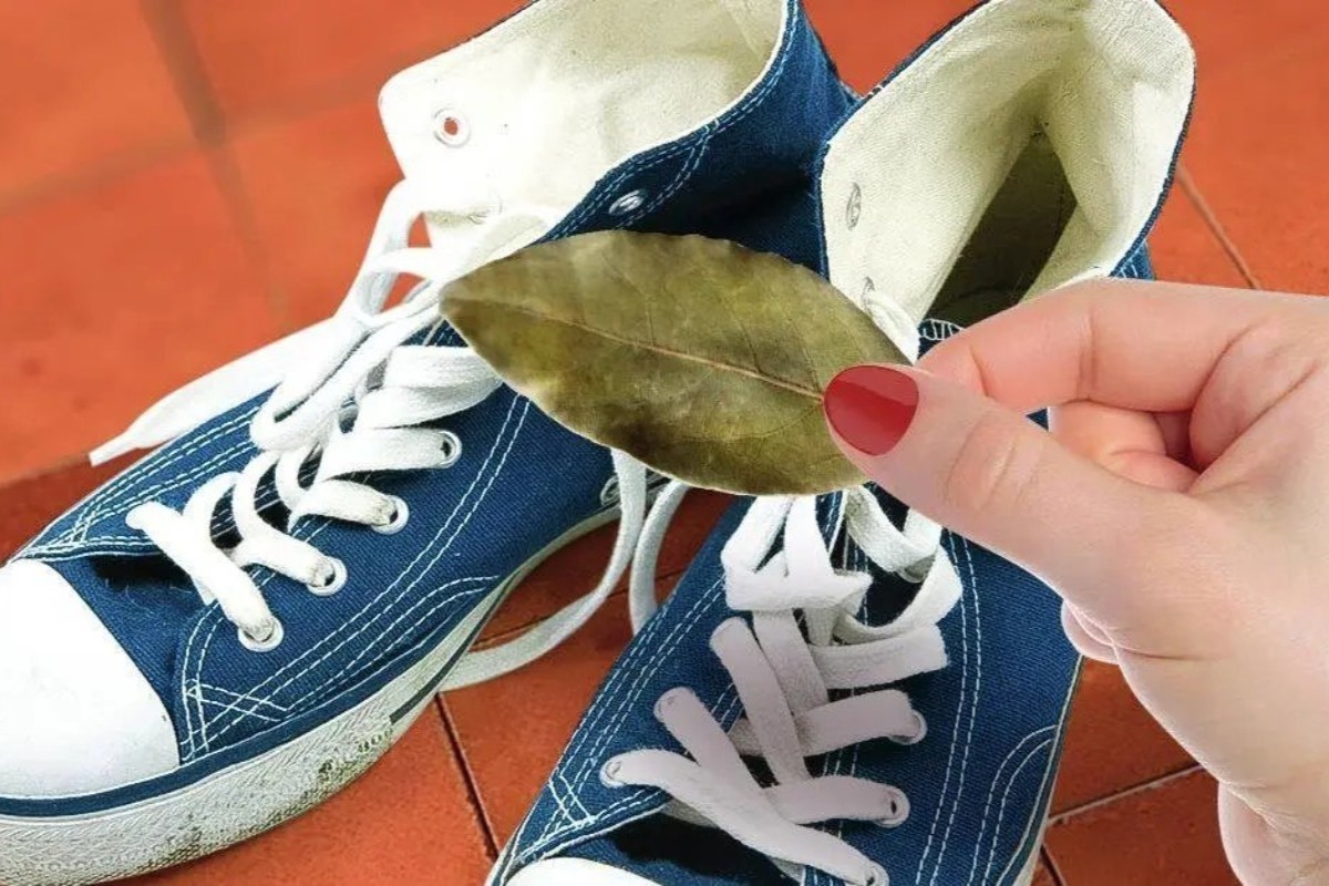 Preto môže bobkový list vo vašej obuvi zmeniť váš každodenný život