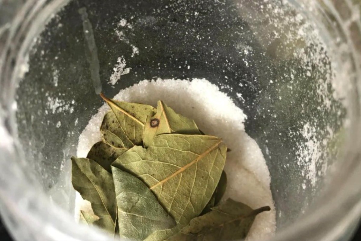 Zmiešanie bobkových listov a jedlej sódy: načo je to potrebné a prečo sa to odporúča robiť