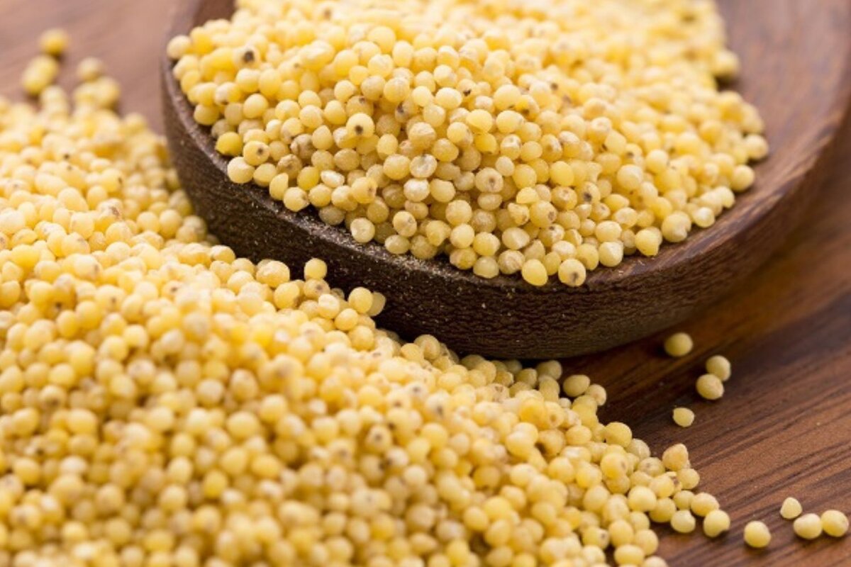 Proso: starobylá obilnina v modernom šate