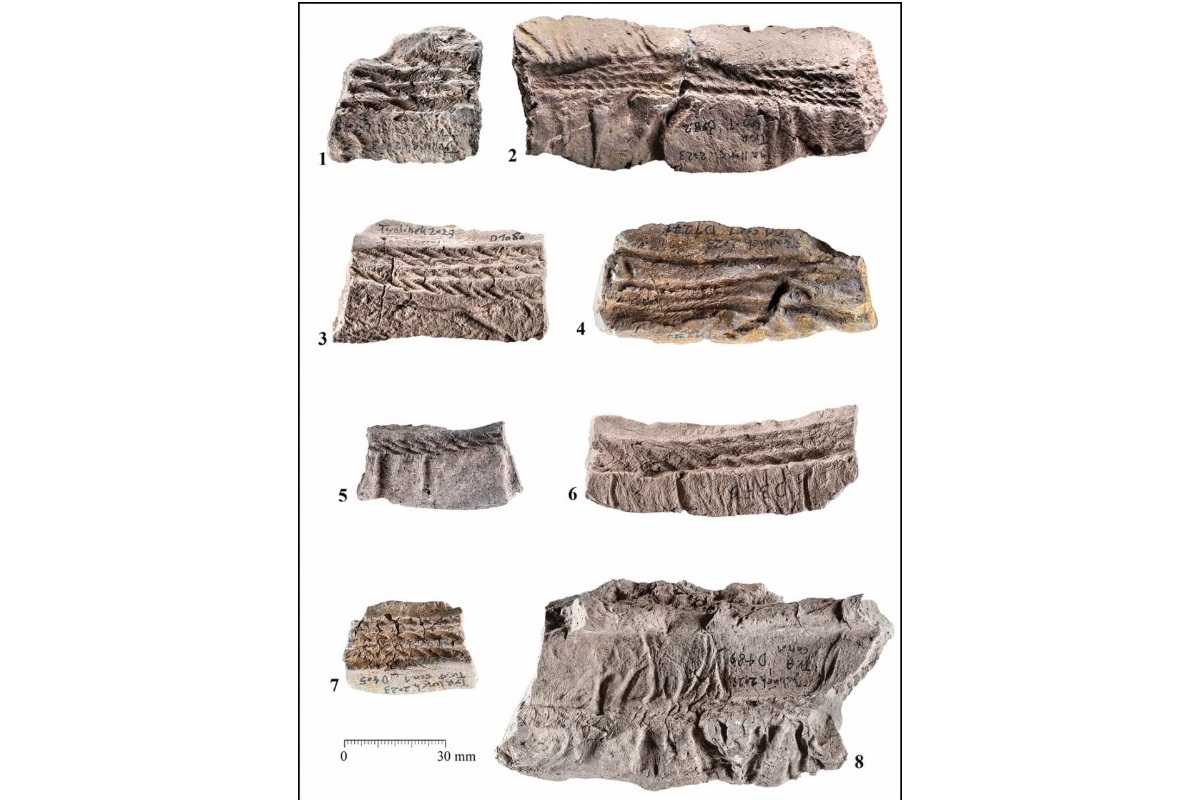 Najväčší administratívny archív neskorého paleolitu s viac ako 7000 odtlačkami pečatí a stovkami artefaktov, nájdený v Iráne